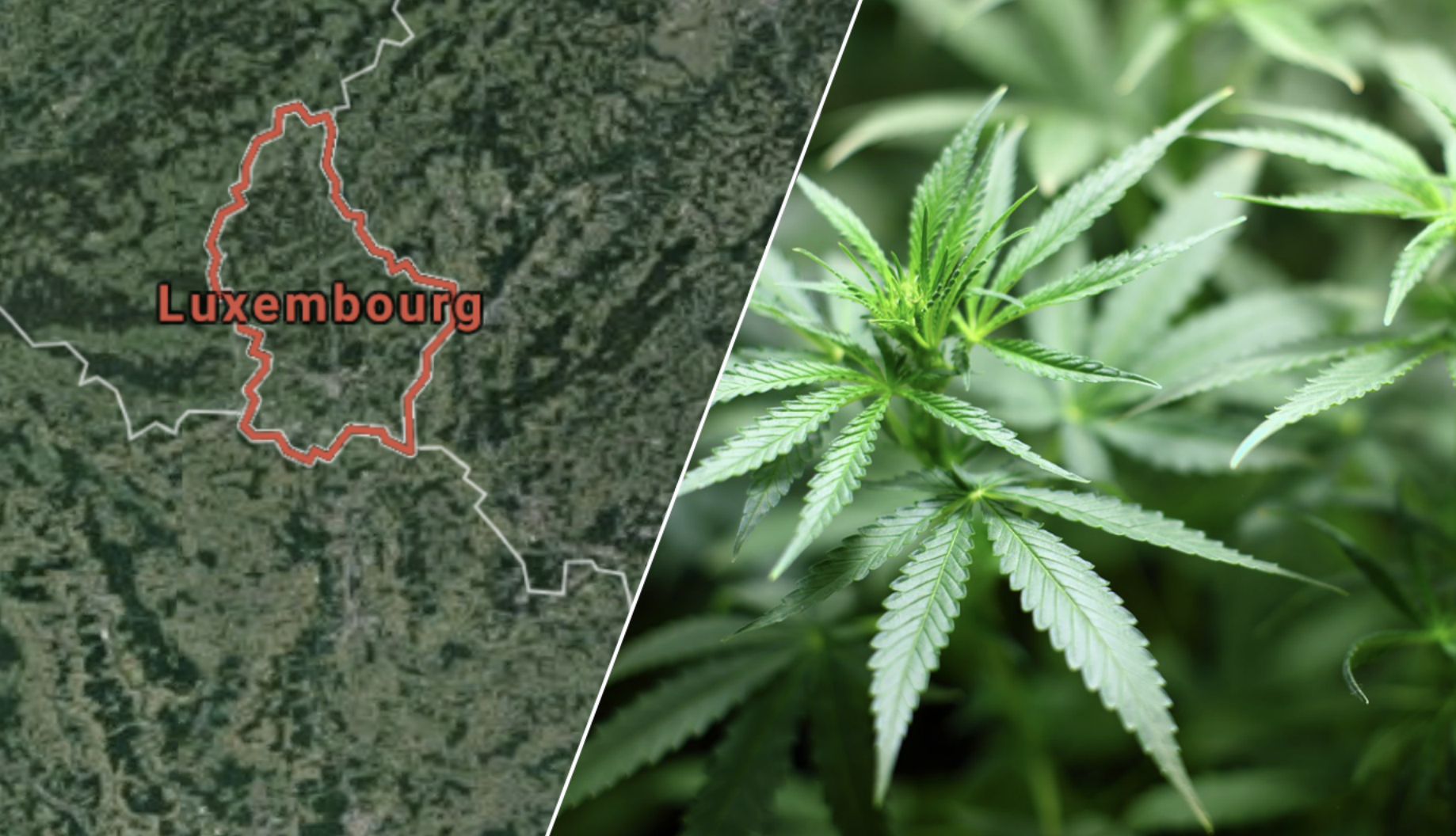 Droger, Luxemburg, Cannabis, Legalisering, Legalisera, Nederländerna